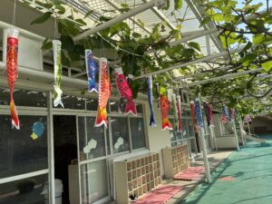 🎏こいのぼりと五月人形✨