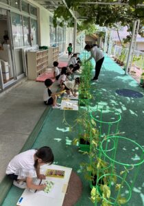 ☀️今日の活動🎹🌱🍆🫑